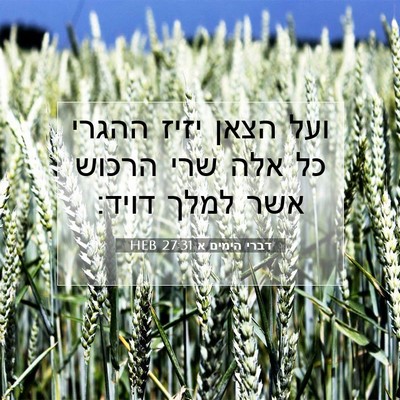 Picture 07 - דברי הימים א 27:31 HEB - ועל הצאן יזיז ההגרי כל אלה - Bible Verse Picture