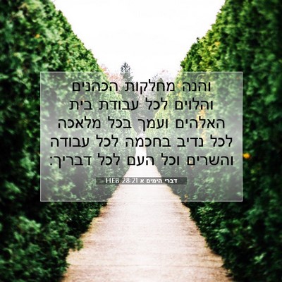 Picture 07 - דברי הימים א 28:21 HEB - והנה מחלקות הכהנים והלוים - Bible Verse Picture