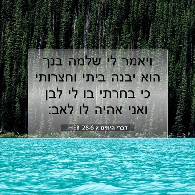 Picture 07 - דברי הימים א 28:6 HEB - ויאמר לי שלמה בנך הוא יבנה - Bible Verse Picture