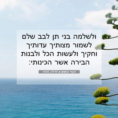 Picture 07 - דברי הימים א 29:19 HEB - ולשלמה בני תן לבב שלם לשמור - Bible Verse Picture