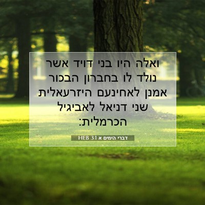 Picture 07 - דברי הימים א 3:1 HEB - ואלה היו בני דויד אשר נולד - Bible Verse Picture