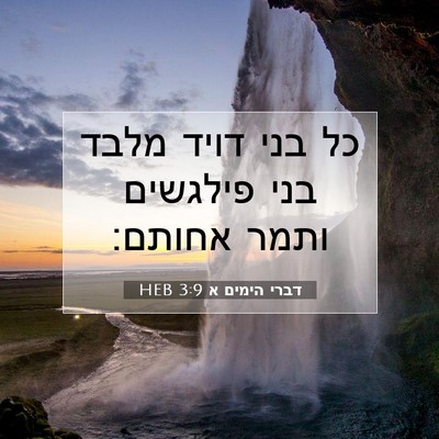 Picture 07 - דברי הימים א 3:9 HEB - כל בני דויד מלבד בני - Bible Verse Picture