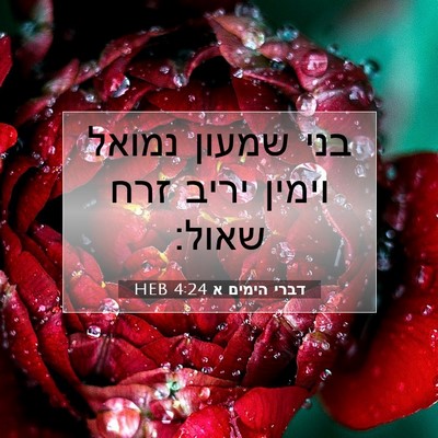 Picture 07 - דברי הימים א 4:24 HEB - בני שמעון נמואל וימין יריב - Bible Verse Picture
