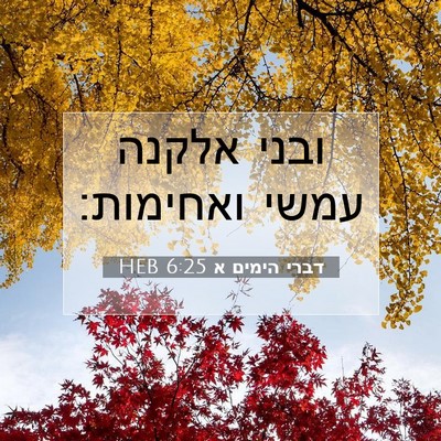 Picture 07 - דברי הימים א 6:25 HEB - ובני אלקנה עמשי - Bible Verse Picture