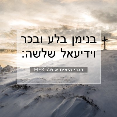 Picture 07 - דברי הימים א 7:6 HEB - בנימן בלע ובכר וידיעאל - Bible Verse Picture