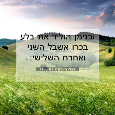 Picture 07 - דברי הימים א 8:1 HEB - ובנימן הוליד את בלע בכרו - Bible Verse Picture