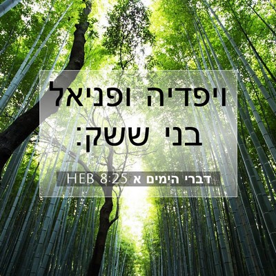 Picture 07 - דברי הימים א 8:25 HEB - ויפדיה ופניאל בני - Bible Verse Picture