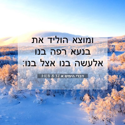 Picture 07 - דברי הימים א 8:37 HEB - ומוצא הוליד את בנעא רפה בנו - Bible Verse Picture