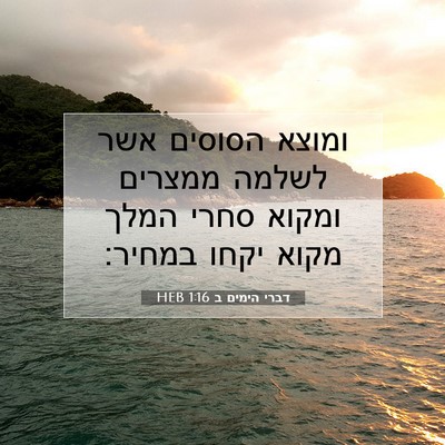 Picture 07 - דברי הימים ב 1:16 HEB - ומוצא הסוסים אשר לשלמה - Bible Verse Picture