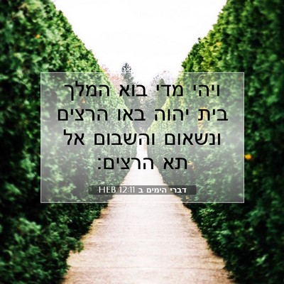 Picture 07 - דברי הימים ב 12:11 HEB - ויהי מדי בוא המלך בית יהוה - Bible Verse Picture