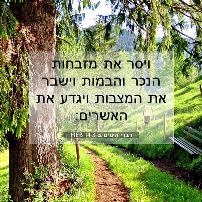 Picture 07 - דברי הימים ב 14:3 HEB - ויסר את מזבחות הנכר והבמות - Bible Verse Picture