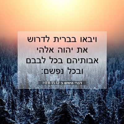 Picture 07 - דברי הימים ב 15:12 HEB - ויבאו בברית לדרוש את יהוה - Bible Verse Picture