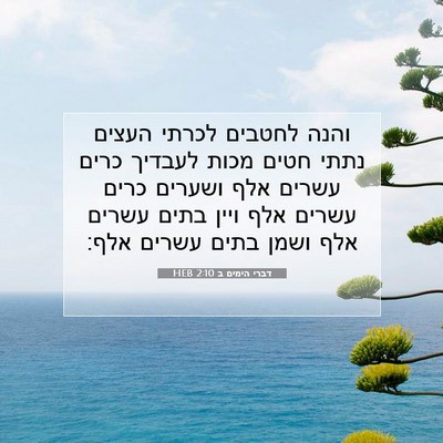 Picture 07 - דברי הימים ב 2:10 HEB - והנה לחטבים לכרתי העצים - Bible Verse Picture