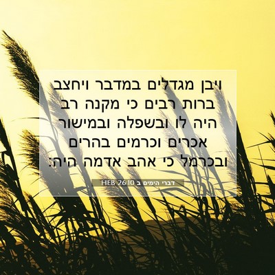 Picture 07 - דברי הימים ב 26:10 HEB - ויבן מגדלים במדבר ויחצב - Bible Verse Picture