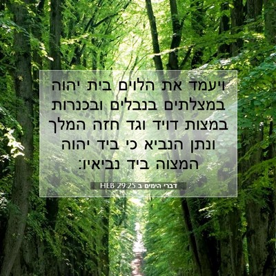 Picture 07 - דברי הימים ב 29:25 HEB - ויעמד את הלוים בית יהוה - Bible Verse Picture