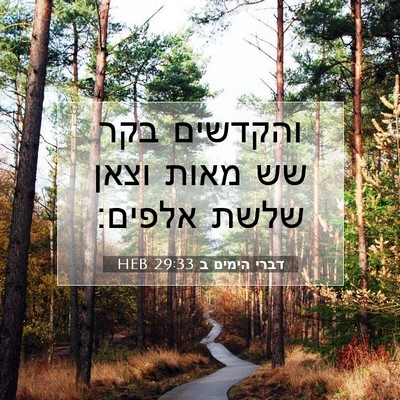 Picture 07 - דברי הימים ב 29:33 HEB - והקדשים בקר שש מאות וצאן - Bible Verse Picture