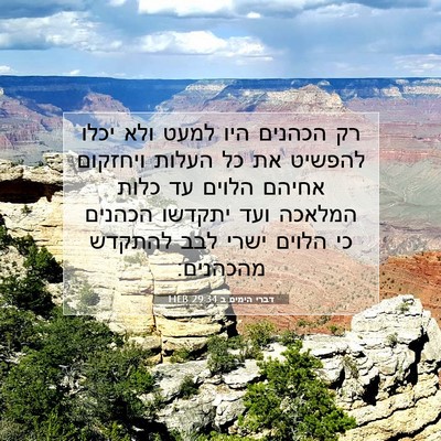 Picture 07 - דברי הימים ב 29:34 HEB - רק הכהנים היו למעט ולא יכלו - Bible Verse Picture