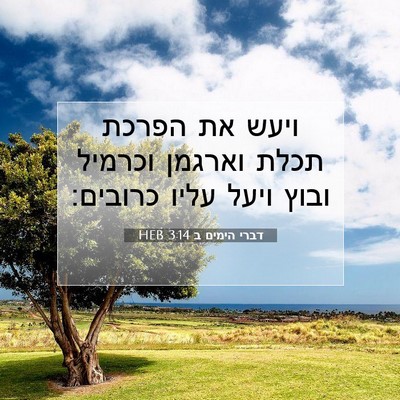 Picture 07 - דברי הימים ב 3:14 HEB - ויעש את הפרכת תכלת וארגמן - Bible Verse Picture