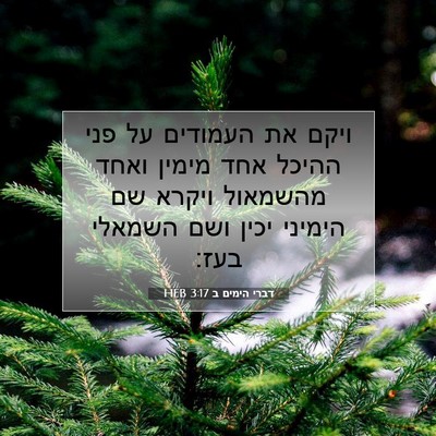 Picture 07 - דברי הימים ב 3:17 HEB - ויקם את העמודים על פני - Bible Verse Picture