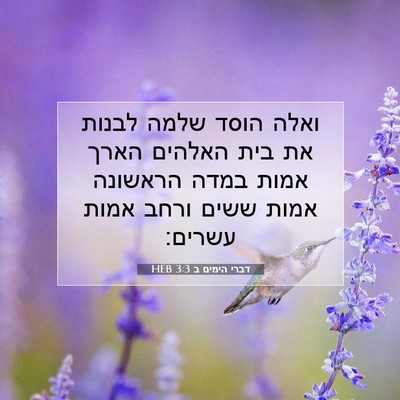 Picture 07 - דברי הימים ב 3:3 HEB - ואלה הוסד שלמה לבנות את בית - Bible Verse Picture