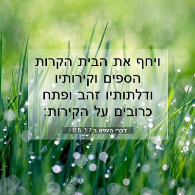 Picture 07 - דברי הימים ב 3:7 HEB - ויחף את הבית הקרות הספים - Bible Verse Picture