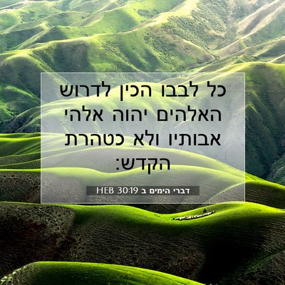 Picture 07 - דברי הימים ב 30:19 HEB - כל לבבו הכין לדרוש האלהים - Bible Verse Picture