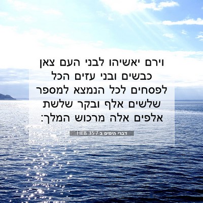 Picture 07 - דברי הימים ב 35:7 HEB - וירם יאשיהו לבני העם צאן - Bible Verse Picture