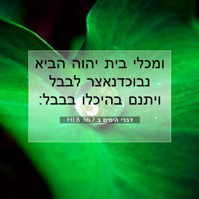 Picture 07 - דברי הימים ב 36:7 HEB - ומכלי בית יהוה הביא - Bible Verse Picture