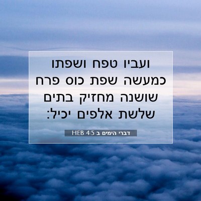 Picture 07 - דברי הימים ב 4:5 HEB - ועביו טפח ושפתו כמעשה שפת - Bible Verse Picture