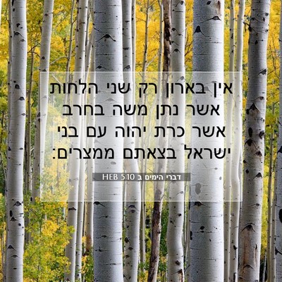 Picture 07 - דברי הימים ב 5:10 HEB - אין בארון רק שני הלחות אשר - Bible Verse Picture