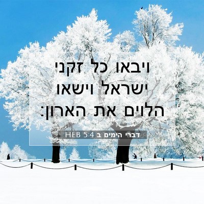 Picture 07 - דברי הימים ב 5:4 HEB - ויבאו כל זקני ישראל וישאו - Bible Verse Picture