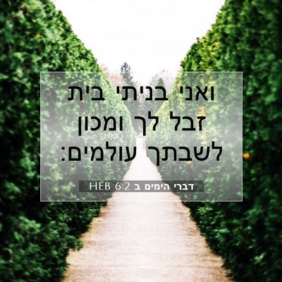 Picture 07 - דברי הימים ב 6:2 HEB - ואני בניתי בית זבל לך ומכון - Bible Verse Picture