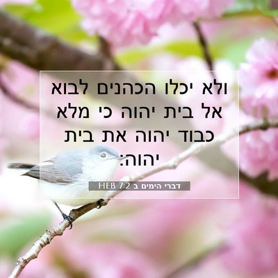 Picture 07 - דברי הימים ב 7:2 HEB - ולא יכלו הכהנים לבוא אל בית - Bible Verse Picture