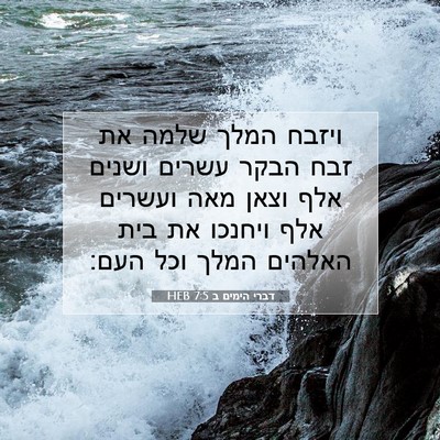 Picture 07 - דברי הימים ב 7:5 HEB - ויזבח המלך שלמה את זבח הבקר - Bible Verse Picture