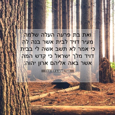 Picture 07 - דברי הימים ב 8:11 HEB - ואת בת פרעה העלה שלמה מעיר - Bible Verse Picture