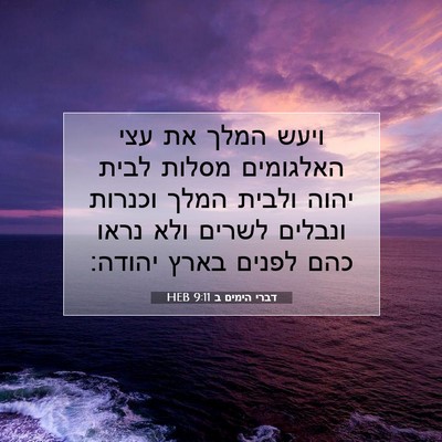 Picture 07 - דברי הימים ב 9:11 HEB - ויעש המלך את עצי האלגומים - Bible Verse Picture