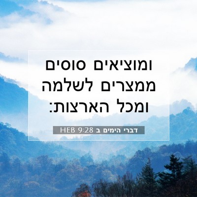 Picture 07 - דברי הימים ב 9:28 HEB - ומוציאים סוסים ממצרים - Bible Verse Picture