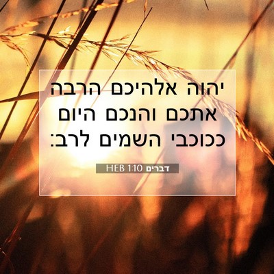 Picture 07 - דברים 1:10 HEB - יהוה אלהיכם הרבה אתכם - Bible Verse Picture