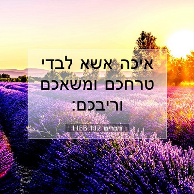 Picture 07 - דברים 1:12 HEB - איכה אשא לבדי טרחכם ומשאכם - Bible Verse Picture