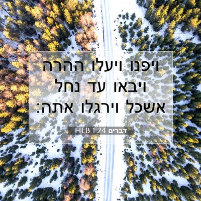 Picture 07 - דברים 1:24 HEB - ויפנו ויעלו ההרה ויבאו עד - Bible Verse Picture