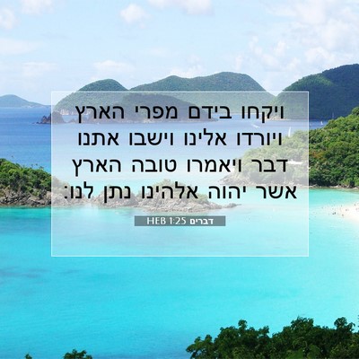 Picture 07 - דברים 1:25 HEB - ויקחו בידם מפרי הארץ - Bible Verse Picture