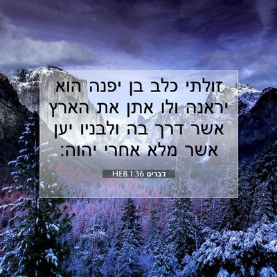 Picture 07 - דברים 1:36 HEB - זולתי כלב בן יפנה הוא יראנה - Bible Verse Picture
