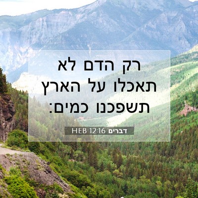Picture 07 - דברים 12:16 HEB - רק הדם לא תאכלו על הארץ - Bible Verse Picture