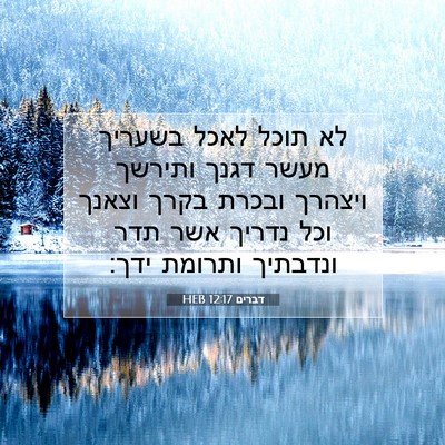 Picture 07 - דברים 12:17 HEB - לא תוכל לאכל בשעריך מעשר - Bible Verse Picture