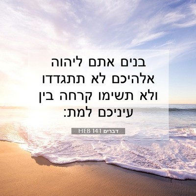 Picture 07 - דברים 14:1 HEB - בנים אתם ליהוה אלהיכם לא - Bible Verse Picture