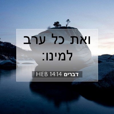 Picture 07 - דברים 14:14 HEB - ואת כל ערב - Bible Verse Picture