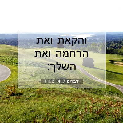 Picture 07 - דברים 14:17 HEB - והקאת ואת הרחמה ואת - Bible Verse Picture