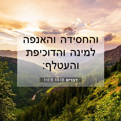 Picture 07 - דברים 14:18 HEB - והחסידה והאנפה למינה - Bible Verse Picture