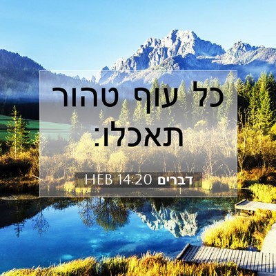 Picture 07 - דברים 14:20 HEB - כל עוף טהור - Bible Verse Picture