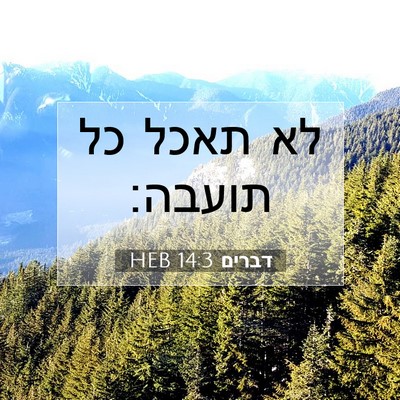 Picture 07 - דברים 14:3 HEB - לא תאכל כל - Bible Verse Picture